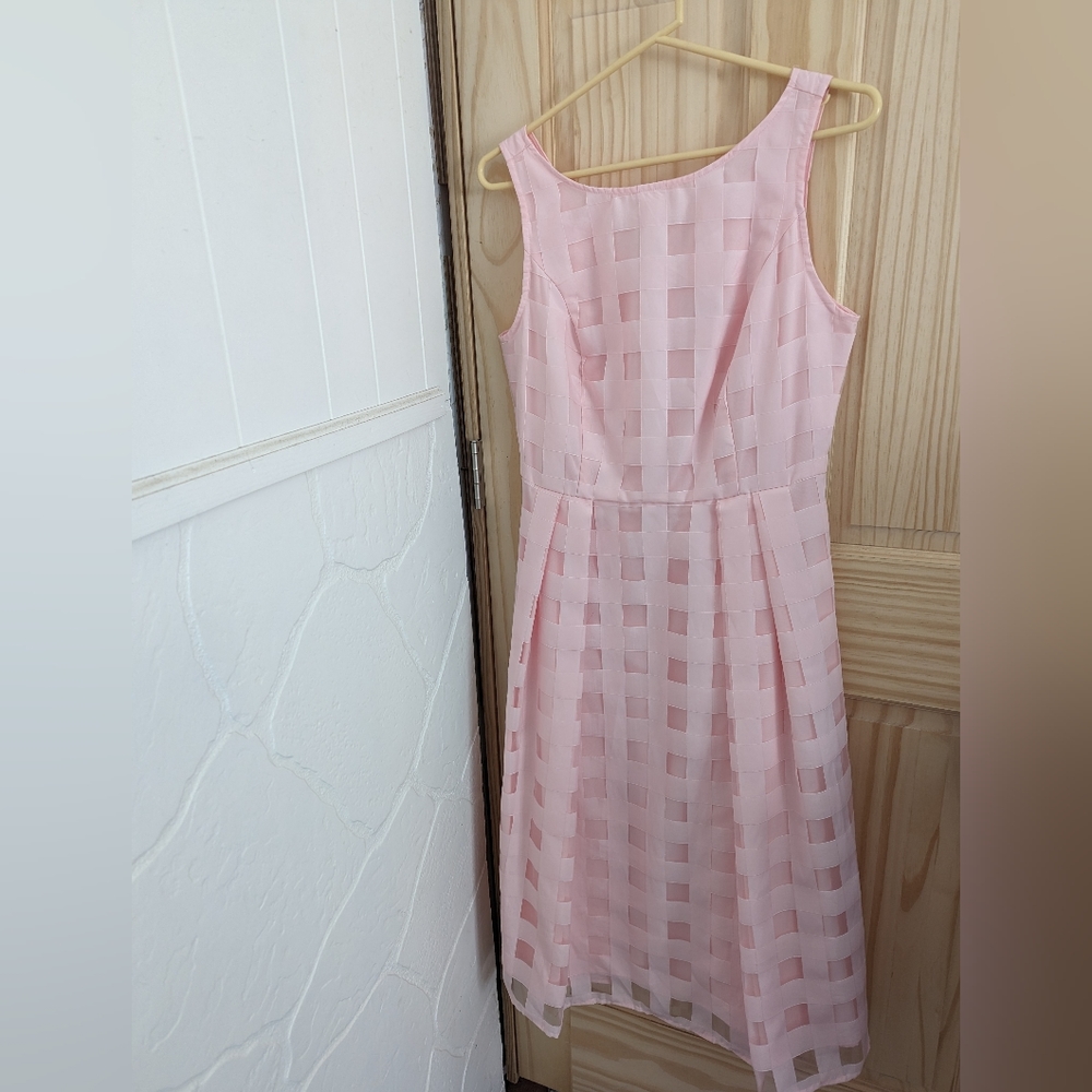 Pink Eva Medes Dress